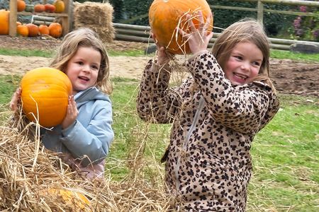 Halloween Spooktacular 